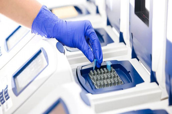 روش ریل تایم (Realtime PCR) 
